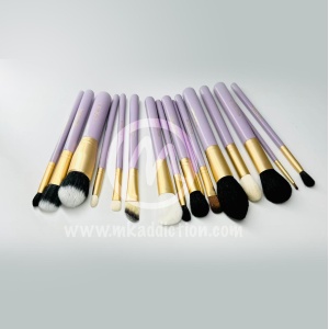PINCEAUX MAUVE SET DE 16