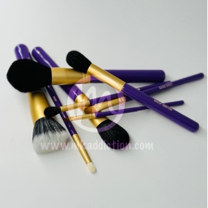 PINCEAUX PURPLE SET DE 8